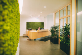 Rezeption im AVADENT-Standort Königstein mit grüner Mooswand für eine naturnahe Atmosphäre.